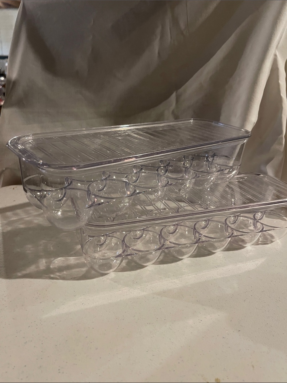 Clear Plastic Egg Storage Container with Lid - Transparent